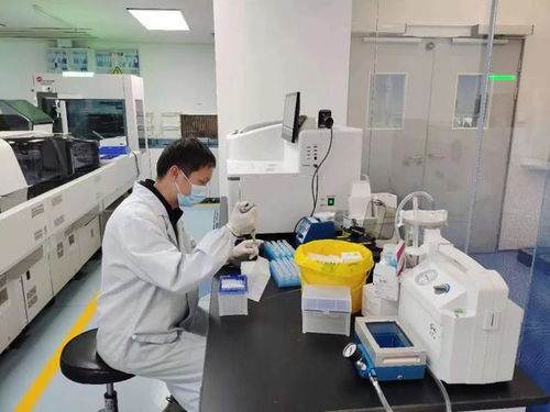 科技赋能医疗创新 闵行企业推动全球首款卵巢癌诊断教育软件的突破